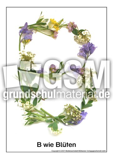 B-wie-Blüten.pdf